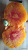 Рассада Томат Грейпфрут № 43 сорт индетерминантный среднеспелый оранжевый, р7